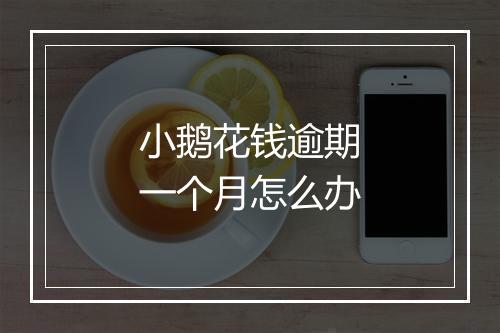 小鹅花钱逾期一个月怎么办