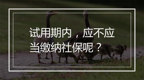 试用期内，应不应当缴纳社保呢？