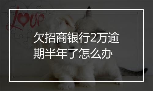 欠招商银行2万逾期半年了怎么办