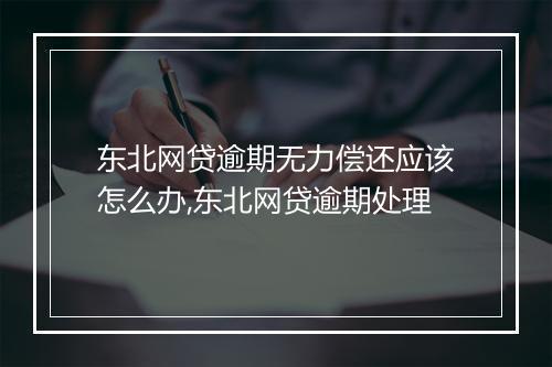 东北网贷逾期无力偿还应该怎么办,东北网贷逾期处理