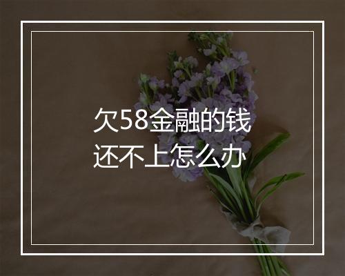 欠58金融的钱还不上怎么办