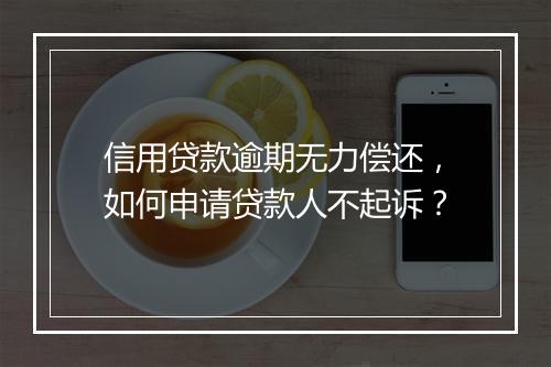 信用贷款逾期无力偿还，如何申请贷款人不起诉？