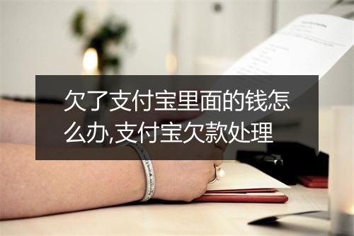 欠了支付宝里面的钱怎么办,支付宝欠款处理