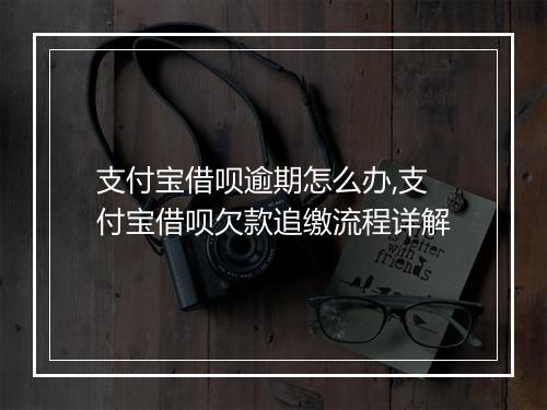 支付宝借呗逾期怎么办,支付宝借呗欠款追缴流程详解