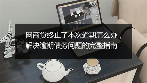 网商贷终止了本次逾期怎么办，解决逾期债务问题的完整指南