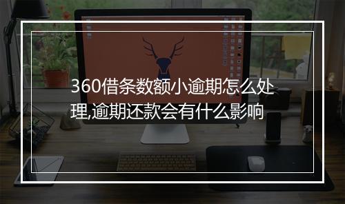 360借条数额小逾期怎么处理,逾期还款会有什么影响