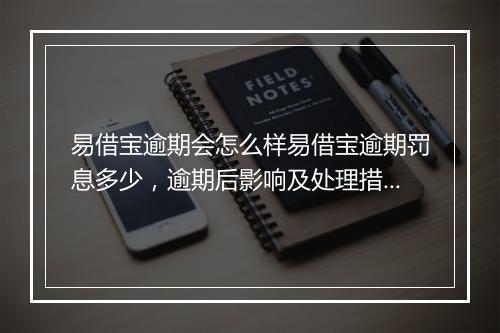 易借宝逾期会怎么样易借宝逾期罚息多少，逾期后影响及处理措施