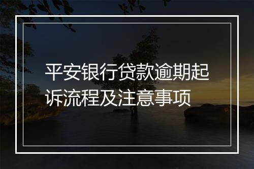 平安银行贷款逾期起诉流程及注意事项