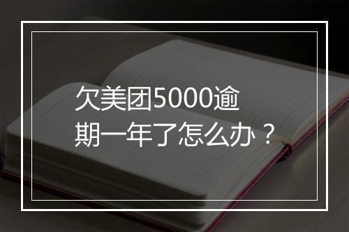 欠美团5000逾期一年了怎么办？