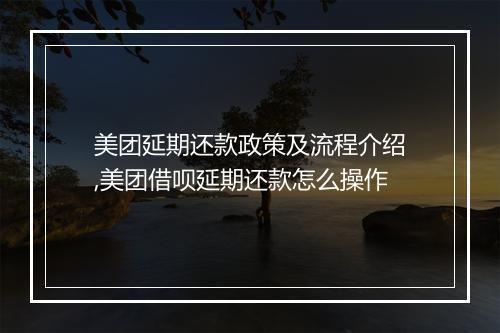 美团延期还款政策及流程介绍,美团借呗延期还款怎么操作