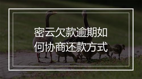 密云欠款逾期如何协商还款方式