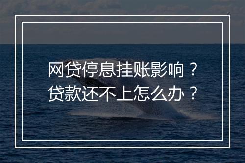 网贷停息挂账影响？贷款还不上怎么办？