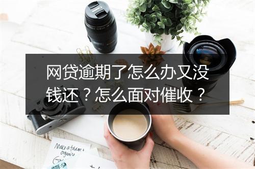 网贷逾期了怎么办又没钱还？怎么面对催收？