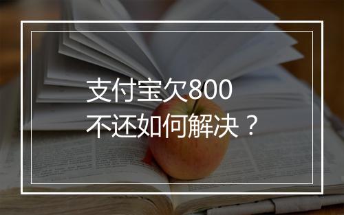 支付宝欠800不还如何解决？