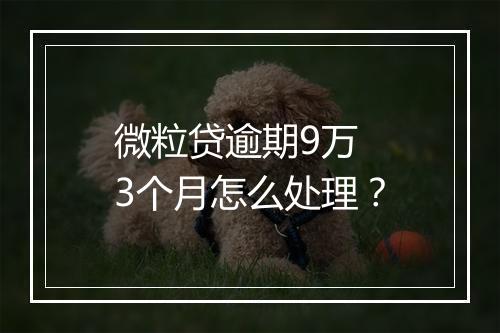 微粒贷逾期9万 3个月怎么处理？