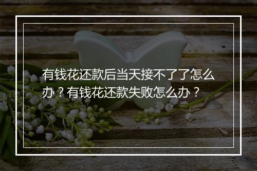 有钱花还款后当天接不了了怎么办？有钱花还款失败怎么办？