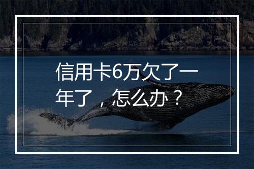信用卡6万欠了一年了，怎么办？