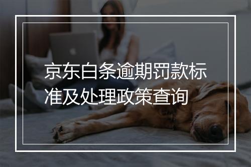 京东白条逾期罚款标准及处理政策查询