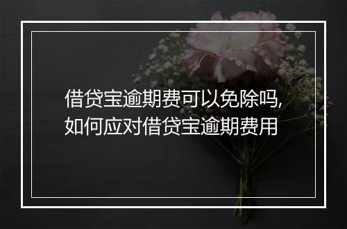 借贷宝逾期费可以免除吗,如何应对借贷宝逾期费用