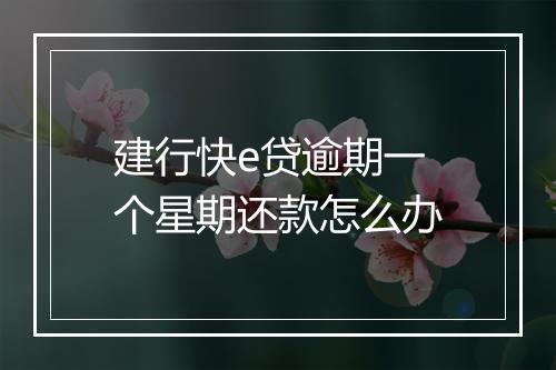 建行快e贷逾期一个星期还款怎么办