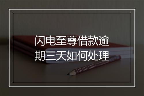 闪电至尊借款逾期三天如何处理