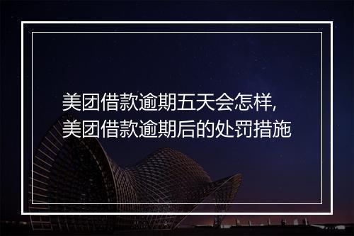 美团借款逾期五天会怎样,美团借款逾期后的处罚措施