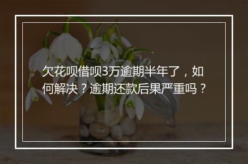 欠花呗借呗3万逾期半年了，如何解决？逾期还款后果严重吗？
