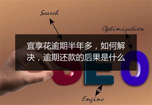 宜享花逾期半年多，如何解决，逾期还款的后果是什么
