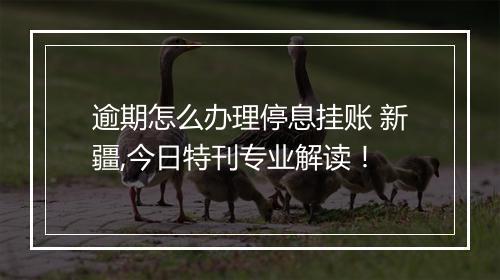 逾期怎么办理停息挂账 新疆,今日特刊专业解读！