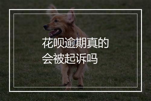 花呗逾期真的会被起诉吗