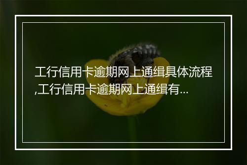 工行信用卡逾期网上通缉具体流程,工行信用卡逾期网上通缉有哪些后果