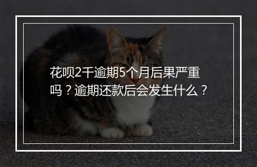 花呗2千逾期5个月后果严重吗？逾期还款后会发生什么？