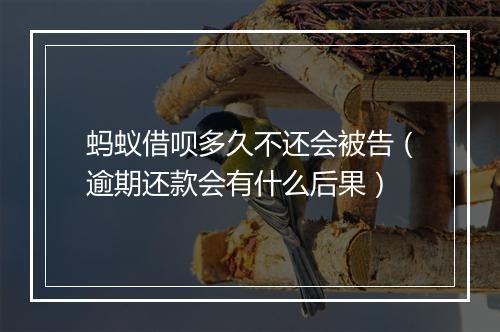 蚂蚁借呗多久不还会被告（逾期还款会有什么后果）
