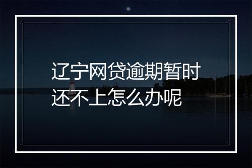 辽宁网贷逾期暂时还不上怎么办呢
