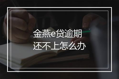 金燕e贷逾期还不上怎么办
