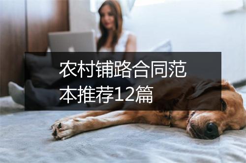 农村铺路合同范本推荐12篇