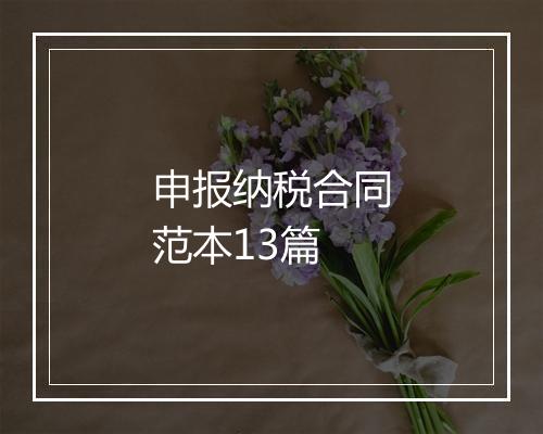 申报纳税合同范本13篇