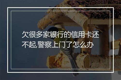 欠很多家银行的信用卡还不起,警察上门了怎么办