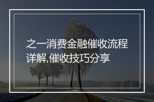 之一消费金融催收流程详解,催收技巧分享