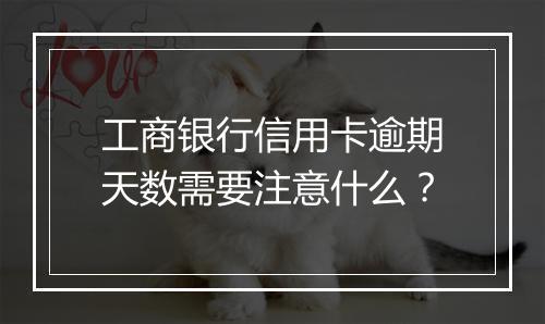 工商银行信用卡逾期天数需要注意什么？
