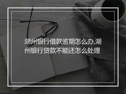 湖州银行借款逾期怎么办,湖州银行贷款不能还怎么处理