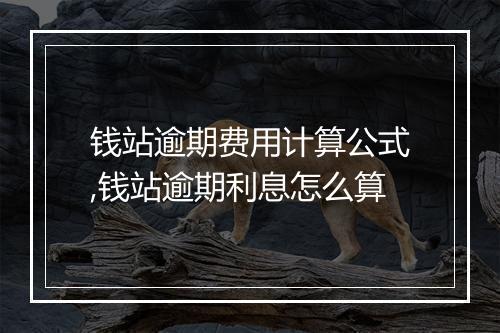 钱站逾期费用计算公式,钱站逾期利息怎么算