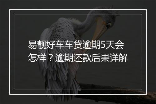 易靓好车车贷逾期5天会怎样？逾期还款后果详解