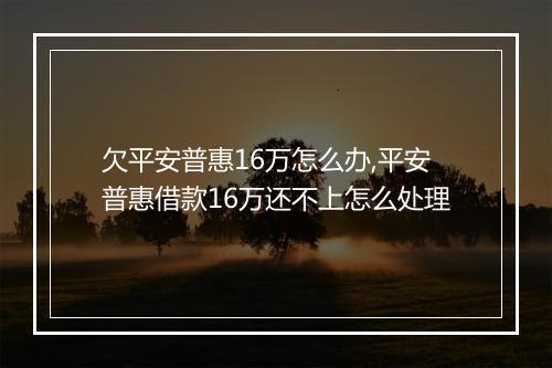 欠平安普惠16万怎么办,平安普惠借款16万还不上怎么处理