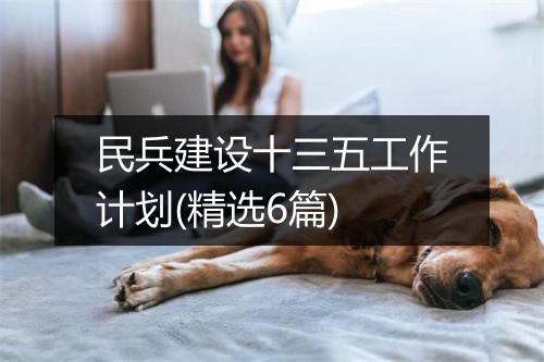 民兵建设十三五工作计划(精选6篇)