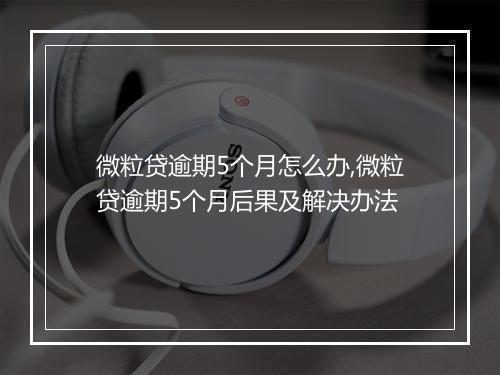 微粒贷逾期5个月怎么办,微粒贷逾期5个月后果及解决办法