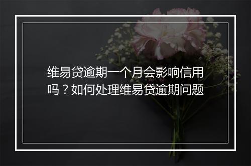 维易贷逾期一个月会影响信用吗？如何处理维易贷逾期问题
