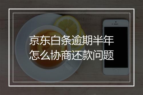 京东白条逾期半年怎么协商还款问题