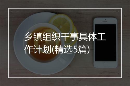 乡镇组织干事具体工作计划(精选5篇)