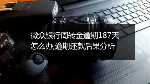 微众银行周转金逾期187天怎么办,逾期还款后果分析